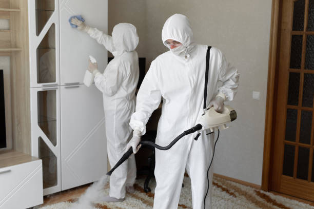Affordable Infectious Disease Decontamination solutions in Cornish, ME